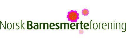 Norsk Barnesmerteforening